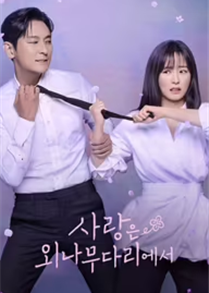 Tình Yêu Trên Cây Cầu Độc Mộc