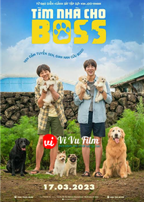 Tìm Nhà Cho Boss